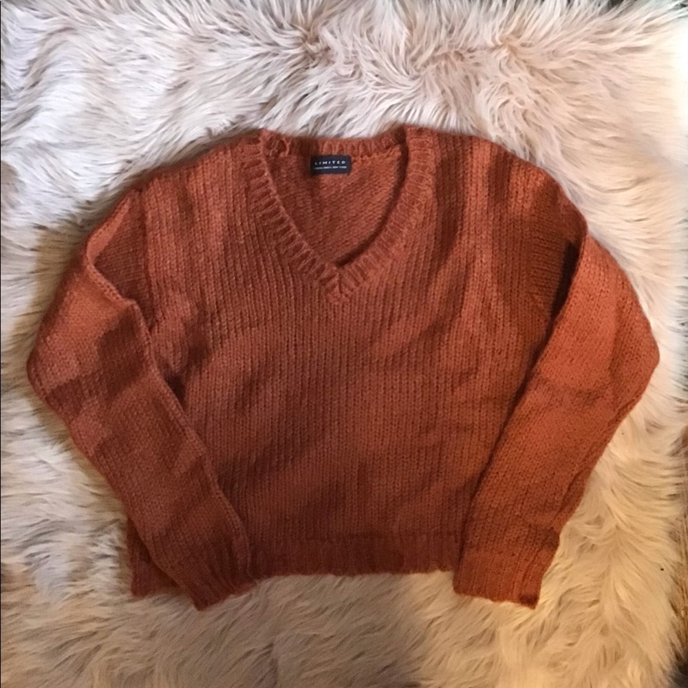 Vintage Burnt Orange or Rust colored Limited Sweater